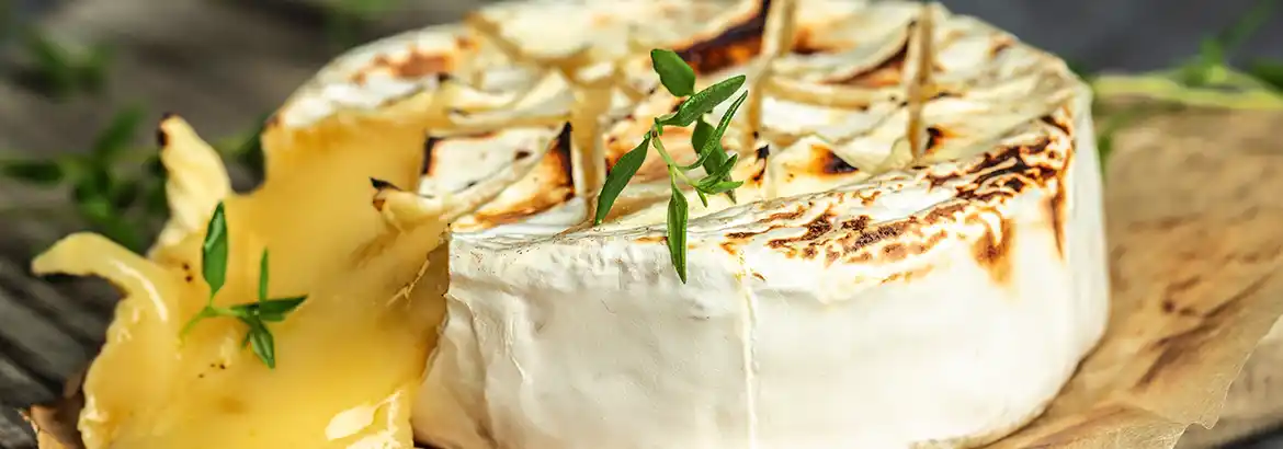 Y Bistro Menu